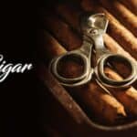 Beginner’s Guide to Choosing Your Cigar